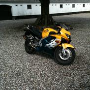 Honda CBR 600 F4