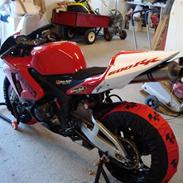 Honda cbr 600 rr