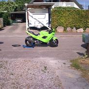 Suzuki gsx600f