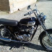 Triumph Bonneville V