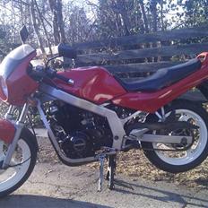 Suzuki GS500