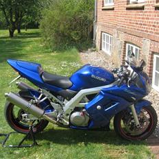 Suzuki SV