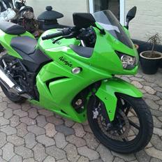 Kawasaki 250r  *solgt*