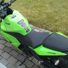 Kawasaki 250r  *solgt*
