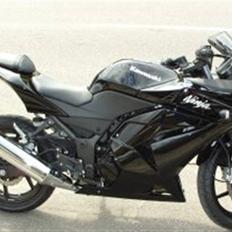 Kawasaki Ninja 250R
