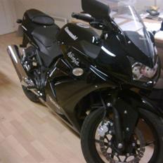 Kawasaki Ninja 250R