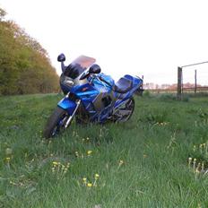 Suzuki GSX600F