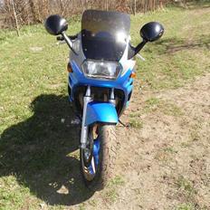 Suzuki GSX600F