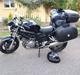 Suzuki SV 1000 N