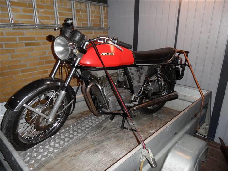 MV Agusta 350 Sport billede 5