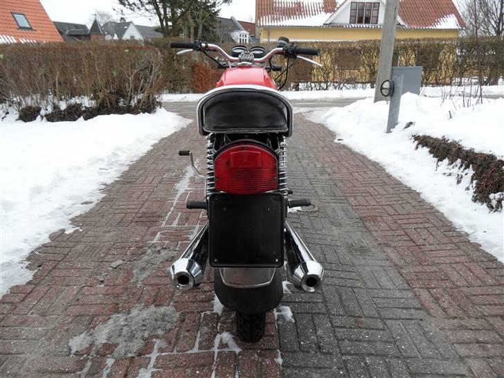 MV Agusta 350 Sport billede 6