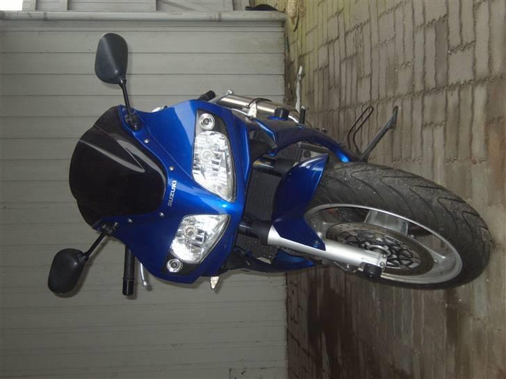 Suzuki SV 1000 S billede 7