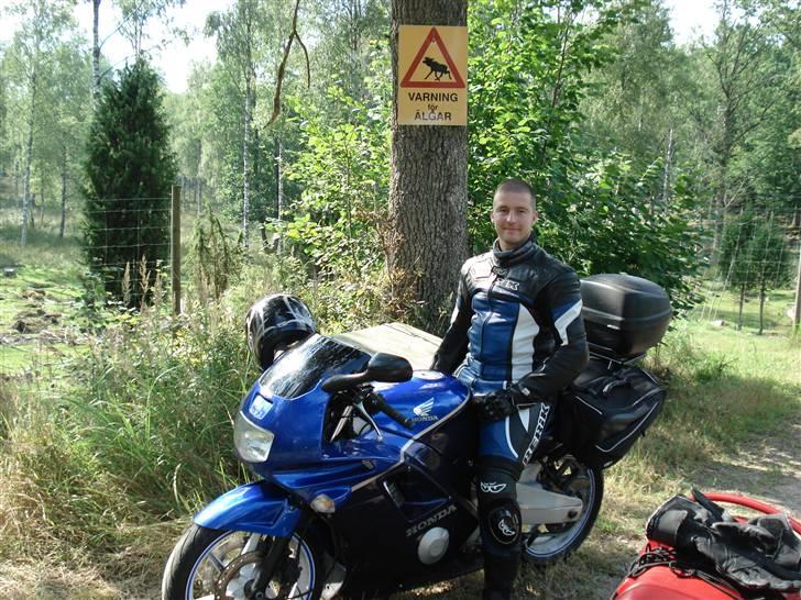 Honda CBR 600 F - SOLGT billede 16