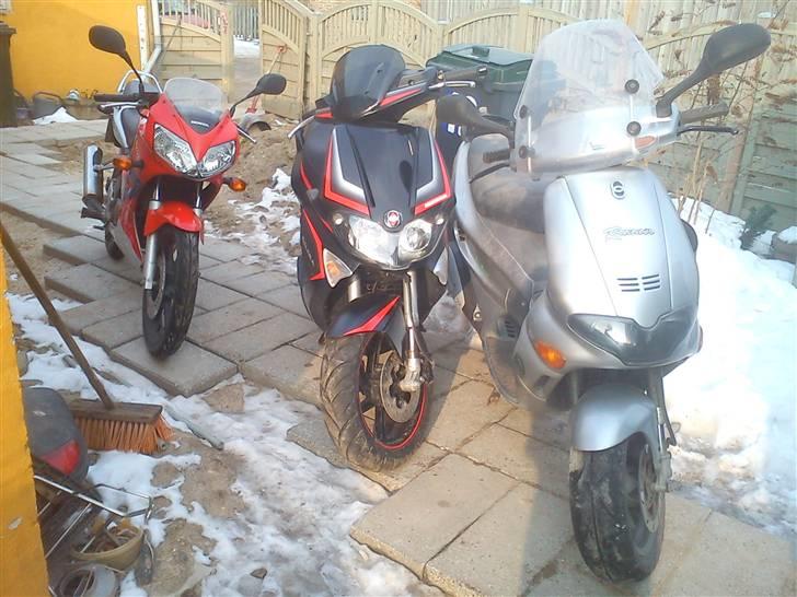 Honda CBR 125R ~DØD~ - så "stor" er den...  billede 18