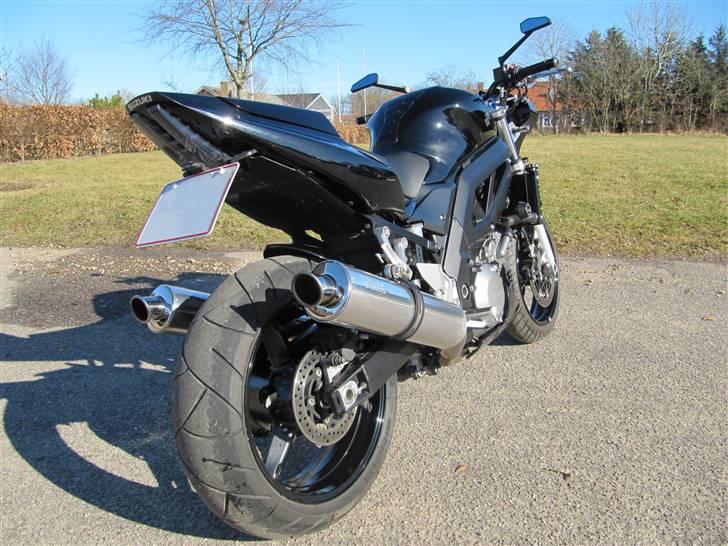 Suzuki sv 1000 Billeder af mcer Uploaded af rick w