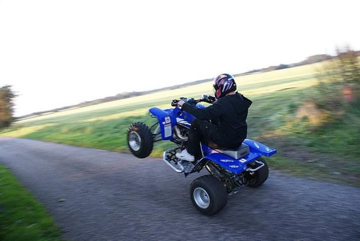 Yamaha Banshee billede 5