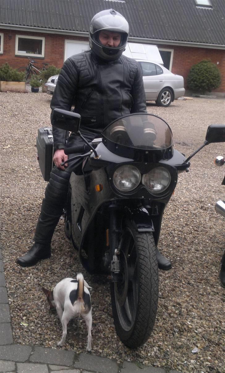 Suzuki GS 650 G Katana billede 5
