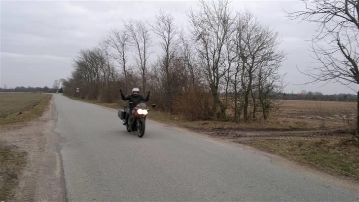 Suzuki GS 650 G Katana billede 7