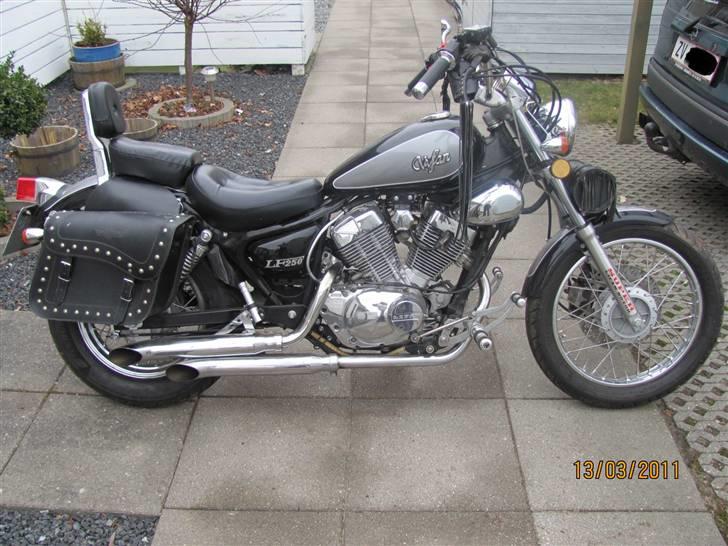 Lifan LF 250 V-Model SOLGT billede 4