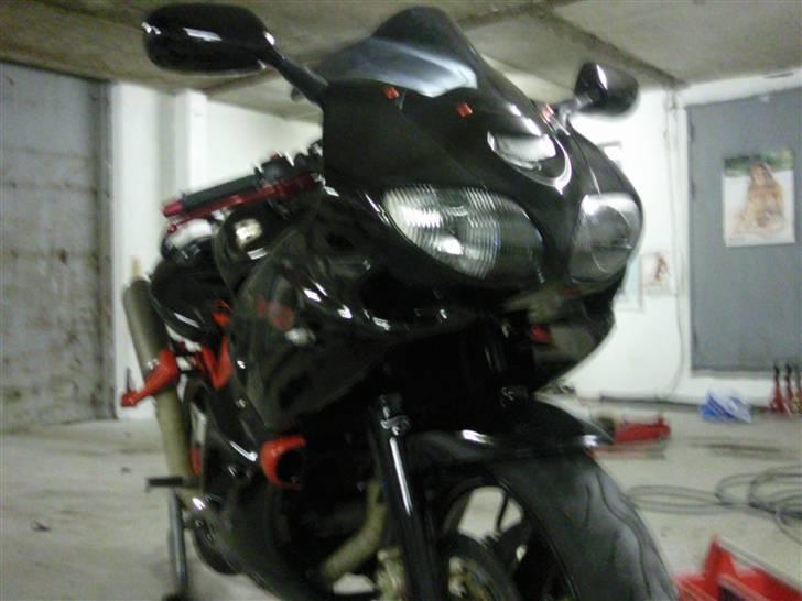 Suzuki SV 650S billede 5