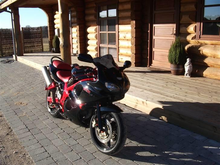 Suzuki SV 650S billede 14