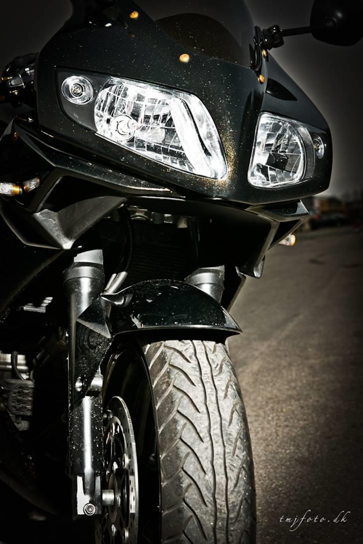 Suzuki 650s billede 4