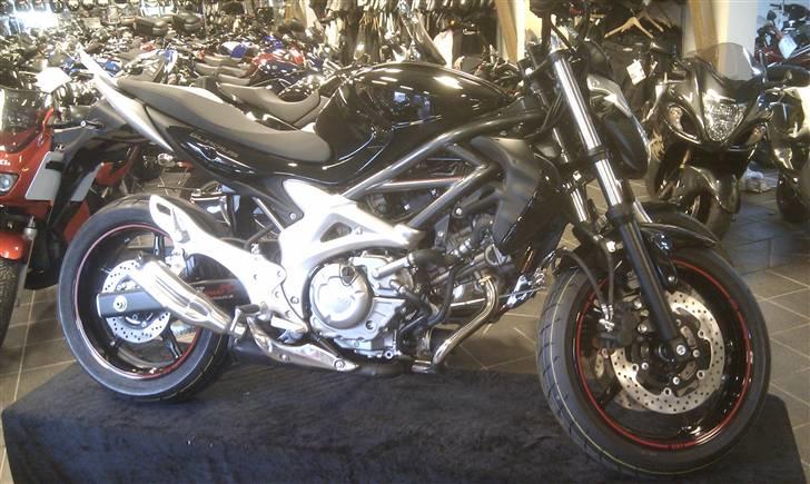Suzuki SFV 650 Gladius K9 billede 3