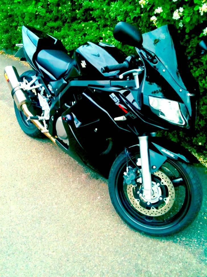 Suzuki SV650 SA billede 1