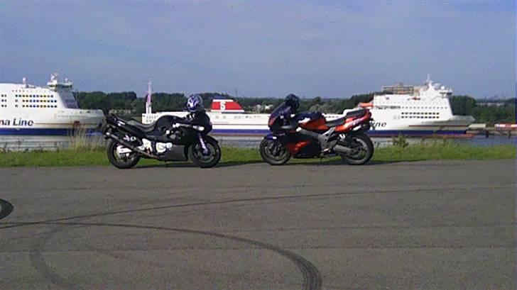 Suzuki vl 1500 Intruder - Havne indløb Rotterdam billede 12