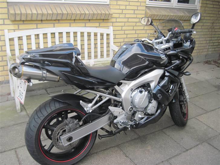 Yamaha FZ6-s billede 12