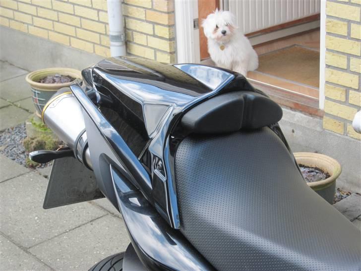 Yamaha FZ6-s billede 14