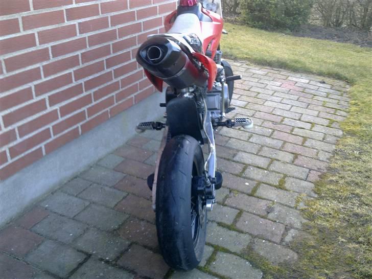 Lifan Pitpro Yx 150 ccm minimotard billede 2