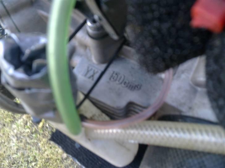 Lifan Pitpro Yx 150 ccm minimotard billede 6
