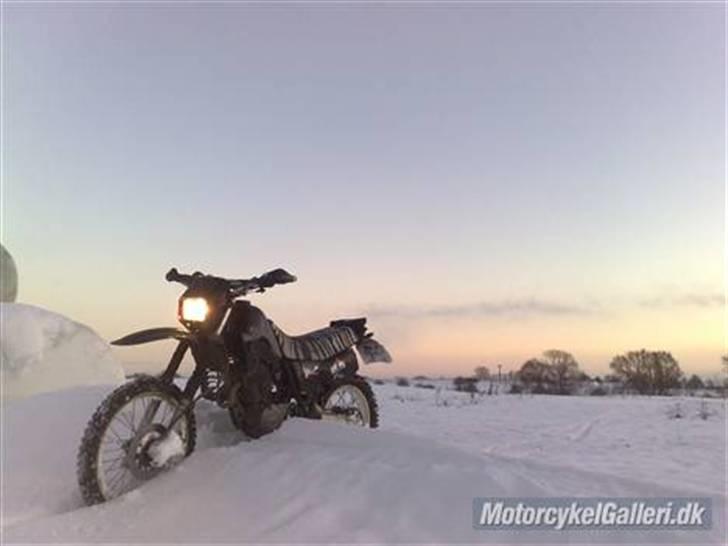 Yamaha XT 600 billede 8