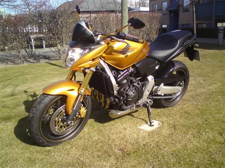 Honda cb 600f hornet Rizoma billede 2
