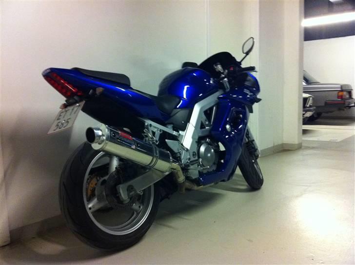 Suzuki SV 650 S billede 4