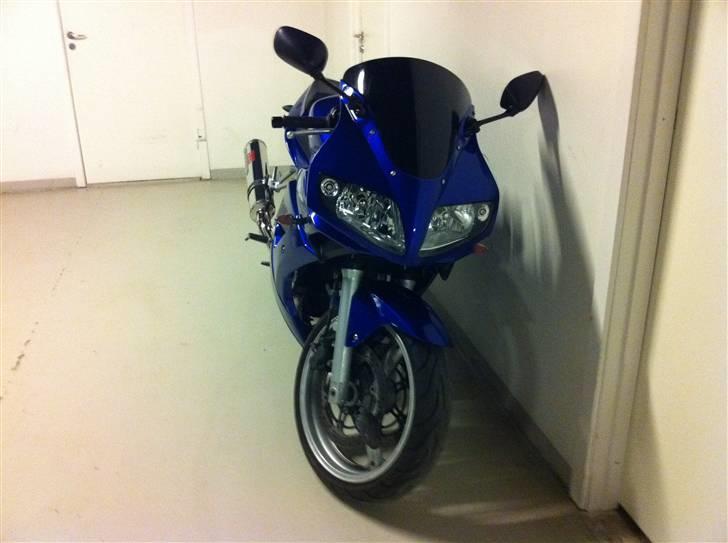 Suzuki SV 650 S billede 5