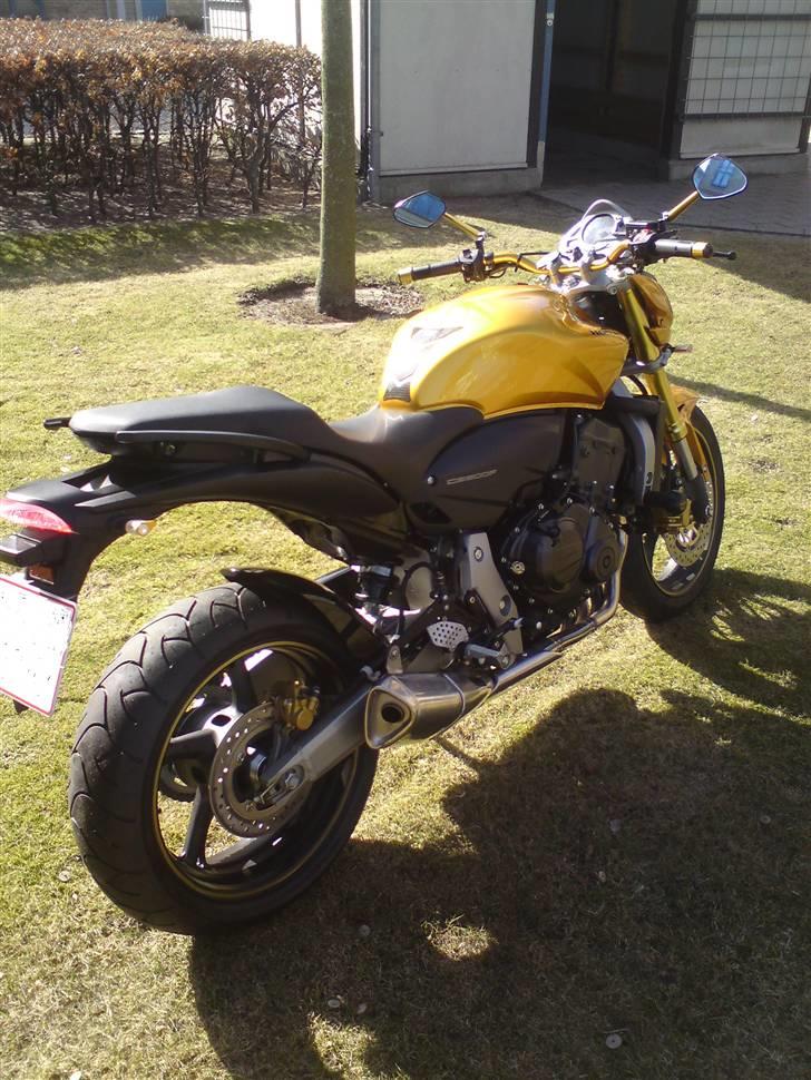 Honda cb 600f hornet Rizoma billede 7