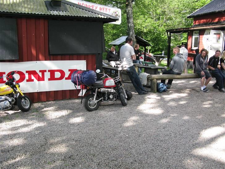 Jincheng Gorilla 90 - Godt ankommet til Monkeytræf i Borås sammen med en masse andre små maskiner  billede 8