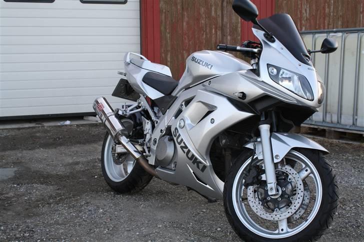 Suzuki SV1000S  billede 1