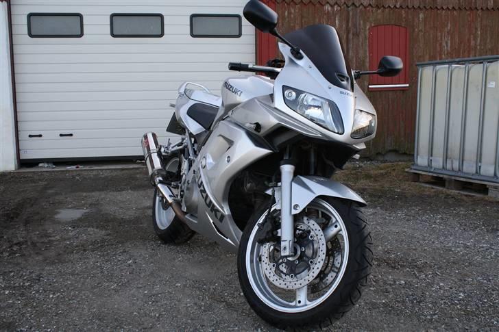 Suzuki SV1000S  billede 5