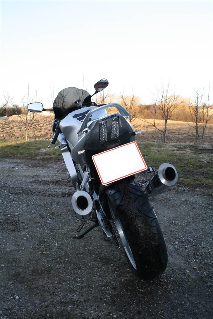 Suzuki SV1000S  billede 6