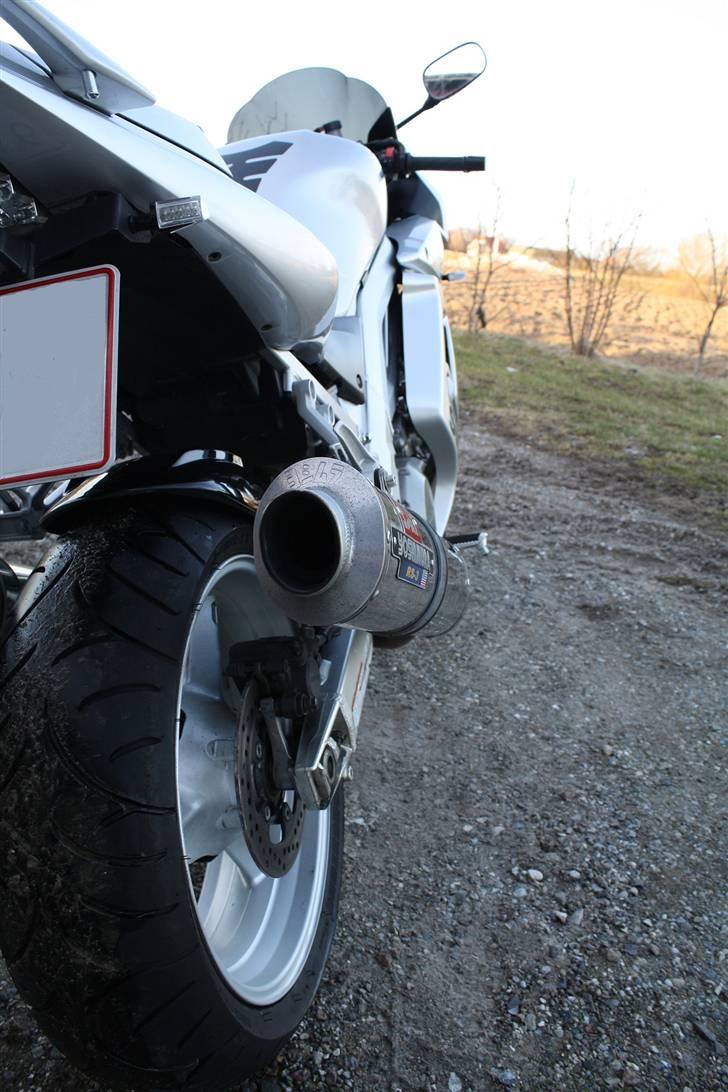 Suzuki SV1000S  billede 7