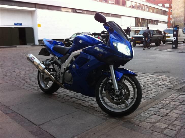 Suzuki SV 650 S billede 6