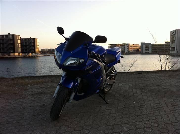 Suzuki SV 650 S billede 7