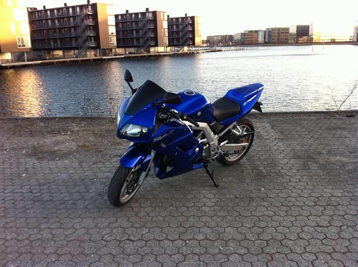 Suzuki SV 650 S billede 8