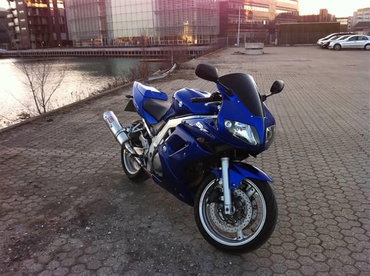 Suzuki SV 650 S billede 9