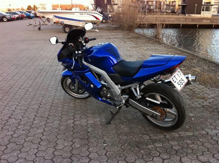 Suzuki SV 650 S billede 10