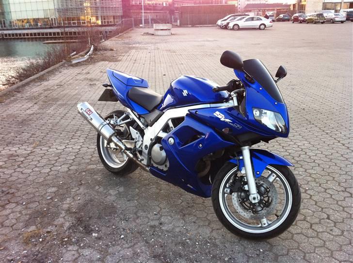 Suzuki SV 650 S billede 11