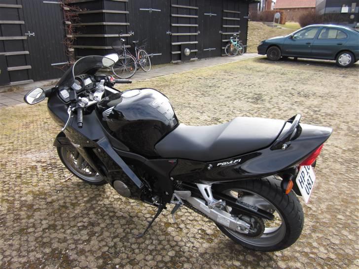Honda CBR 1100 Blackbird billede 8